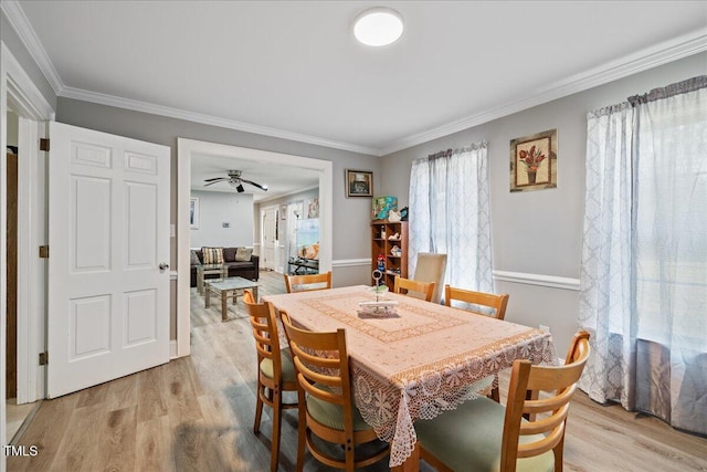 dining area featuring ceiling fan, light hardwood / wood-style floors, and ornamental molding