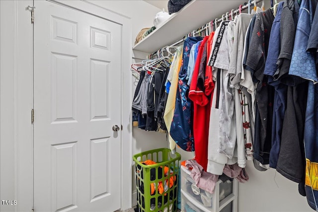 view of spacious closet