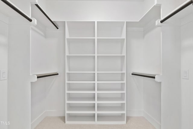 walk in closet with carpet