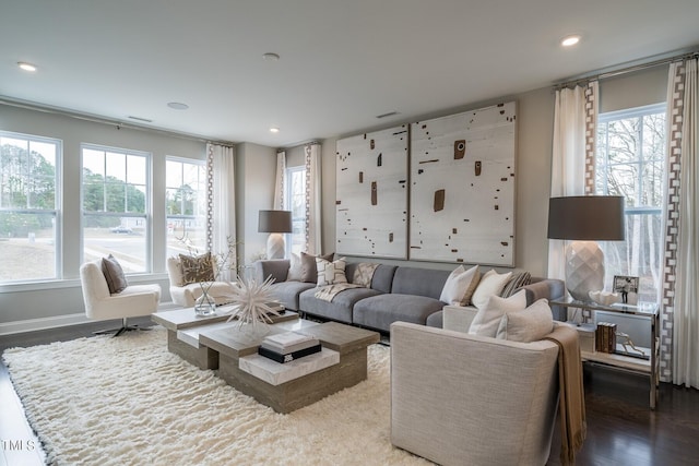 living room featuring hardwood / wood-style flooring