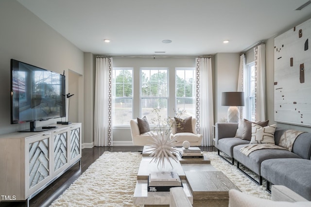 living room featuring dark hardwood / wood-style flooring