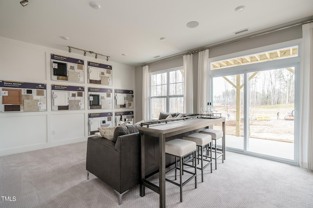 carpeted living room with a wealth of natural light