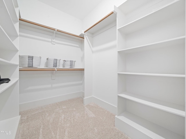 145 Wiggins Rd, Louisburg, NC 27549 - spacious closet featuring carpet floors