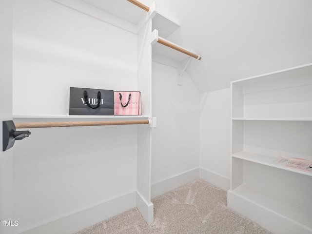 145 Wiggins Rd, Louisburg, NC 27549 - walk in closet featuring carpet floors