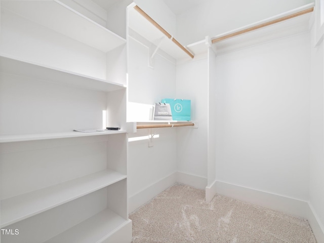 145 Wiggins Rd, Louisburg, NC 27549 - walk in closet featuring carpet