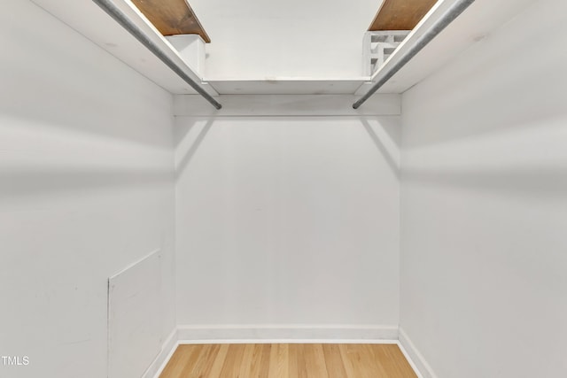 walk in closet with hardwood / wood-style flooring