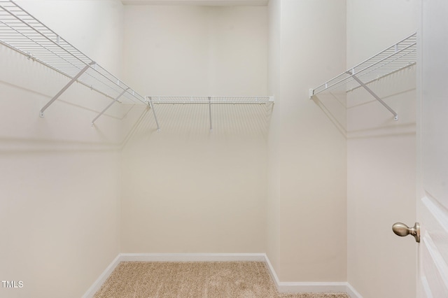 spacious closet with carpet flooring