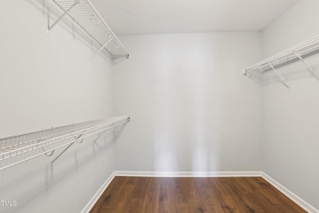 walk in closet with wood-type flooring