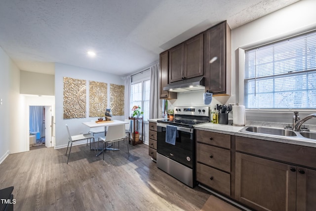 kitchen with hardwood / wood-style floors, a healthy amount of sunlight, stainless steel range with electric cooktop, and sink