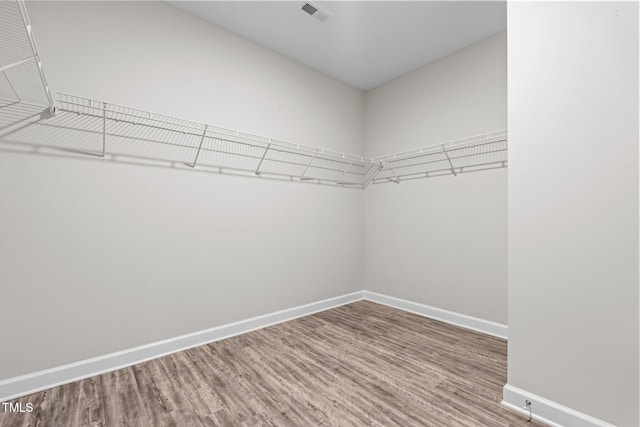 walk in closet with hardwood / wood-style floors