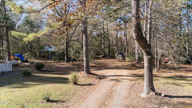 165 Roscoe Lee Dr, Pittsboro NC, 27312 land for sale