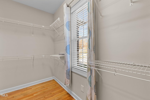 walk in closet with wood-type flooring