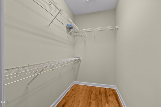 spacious closet featuring wood-type flooring