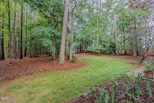 1620 Dunn Rd, Raleigh, NC 27614 - view of grassy yard