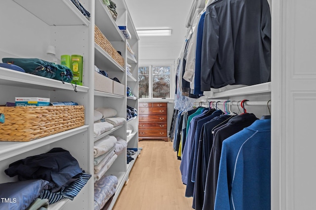 walk in closet with light hardwood / wood-style floors