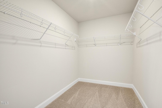 spacious closet with carpet floors