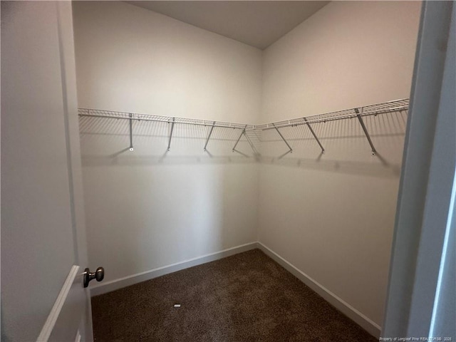 spacious closet with dark colored carpet