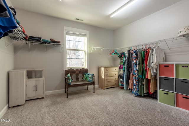 walk in closet with carpet floors