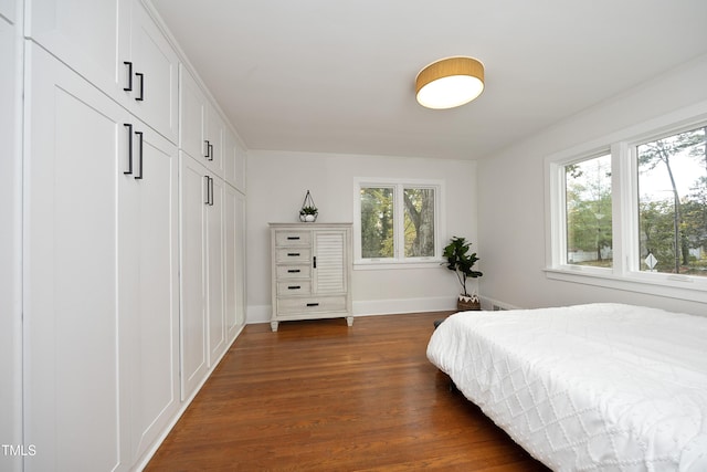 bedroom featuring multiple windows and dark hardwood / wood-style flooring