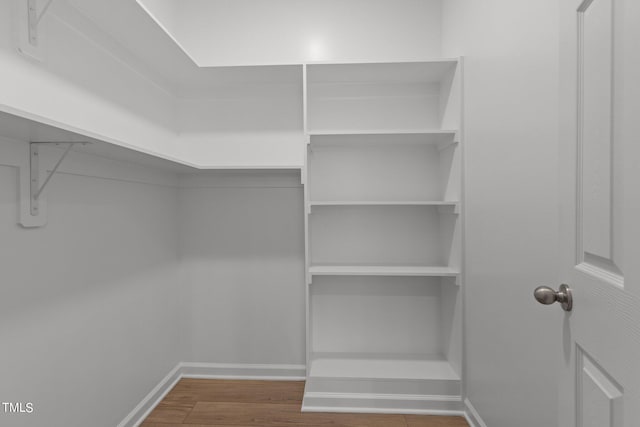 spacious closet with hardwood / wood-style floors