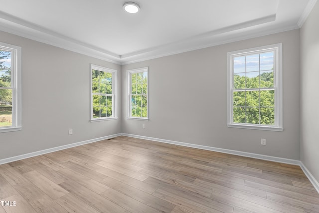 empty room featuring light wood-type flooring and crown molding