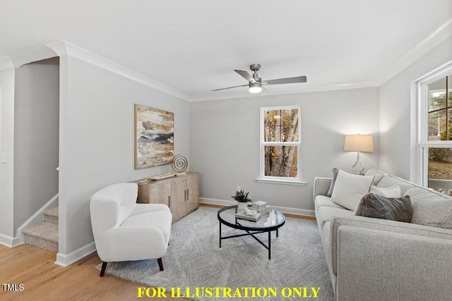 living room featuring ornamental molding, ceiling fan, and light wood-type flooring