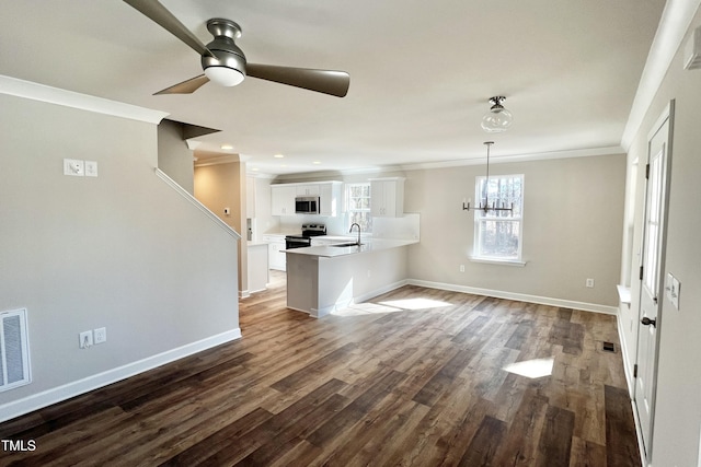 interior space featuring sink, ornamental molding, dark hardwood / wood-style flooring, and ceiling fan with notable chandelier