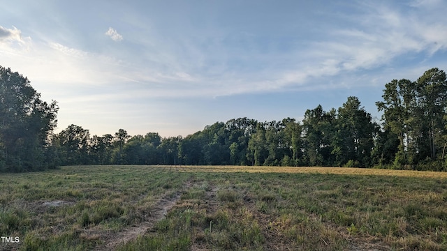 Listing photo 2 for LOT8 Nick Coley Rd, Whitakers NC 27891