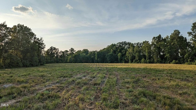 LOT8 Nick Coley Rd, Whitakers NC, 27891 land for sale