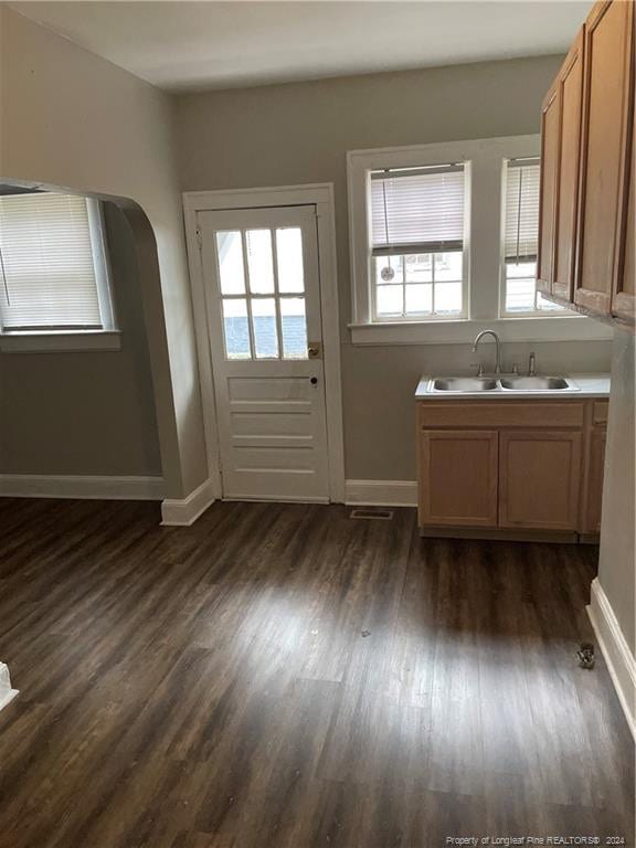 doorway to outside with plenty of natural light, dark wood-type flooring, and sink