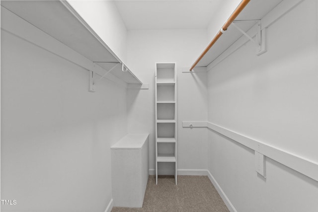 spacious closet with carpet