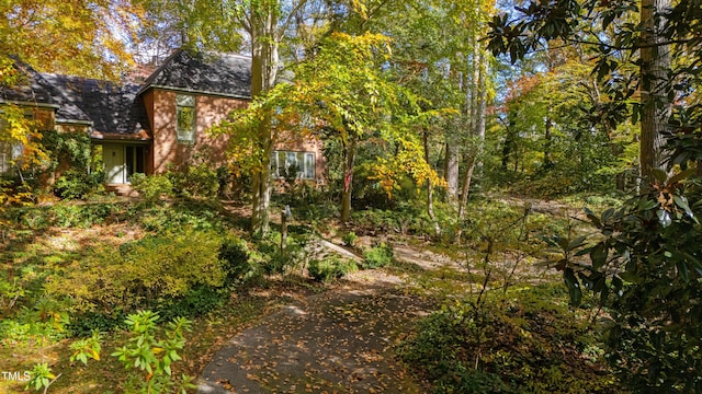 906 Marlowe Rd, Raleigh, NC 27609 - view of yard