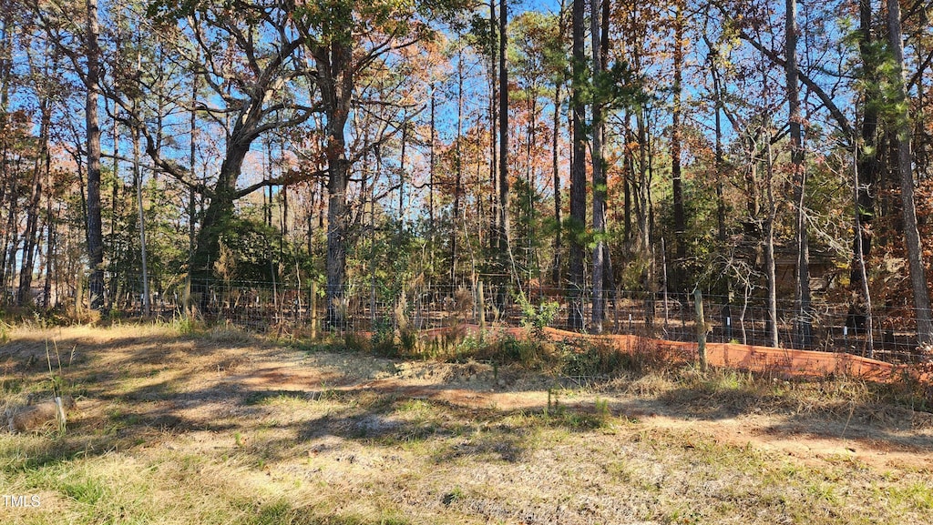 3909 Langston Cir, Apex, NC 27539 - photo 2