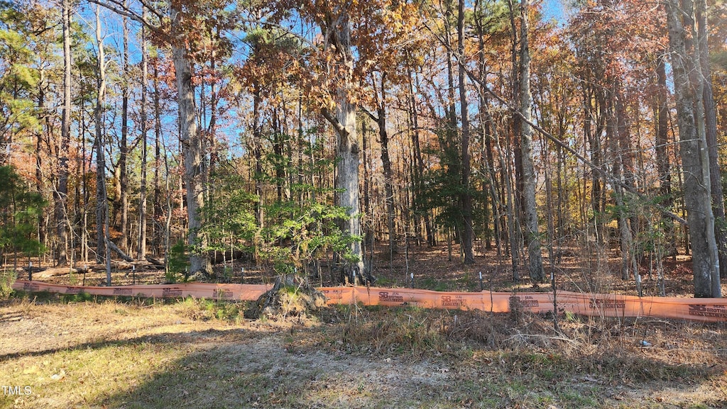 3909 Langston Cir, Apex, NC 27539 - photo 4