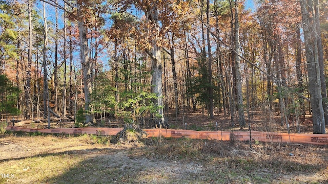 3909 Langston Cir, Apex, NC 27539 - photo 4