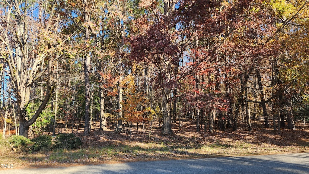3909 Langston Cir, Apex, NC 27539 - photo 1
