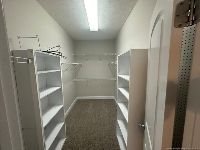 spacious closet featuring carpet flooring