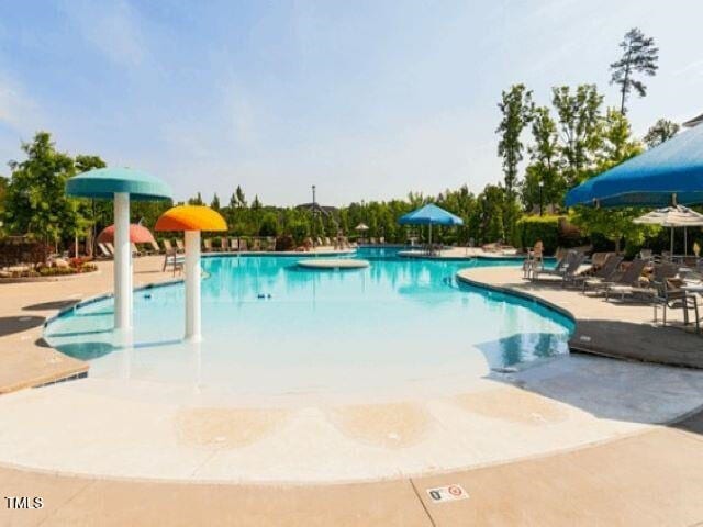 view of pool featuring a patio area