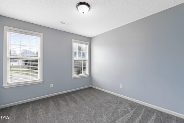 carpeted spare room with a wealth of natural light and a textured ceiling