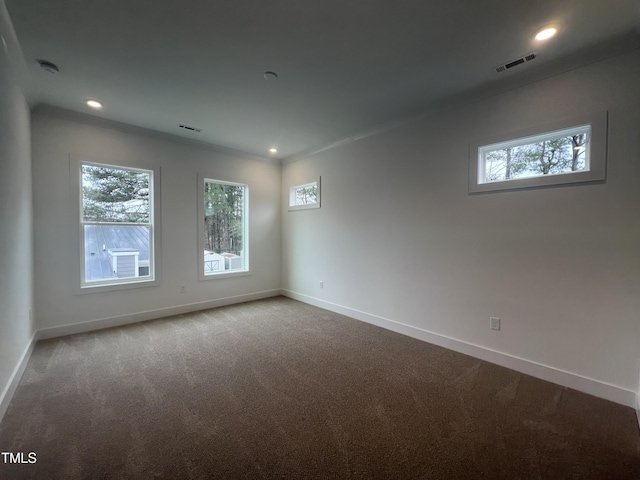 spare room with a wealth of natural light and carpet