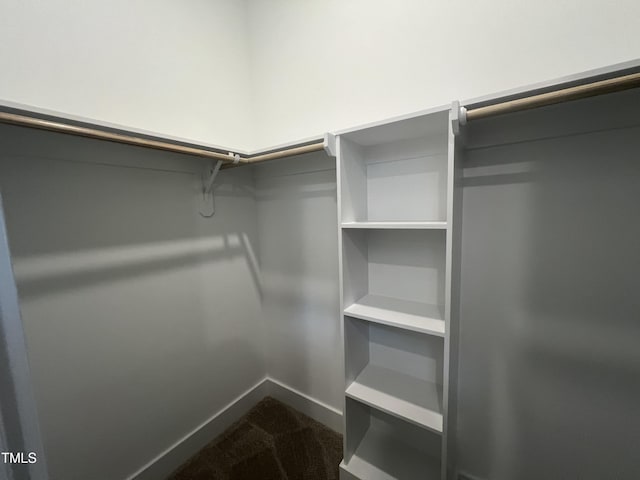 walk in closet with carpet