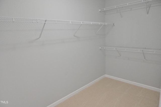 walk in closet with carpet