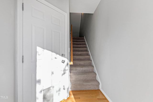 stairs featuring hardwood / wood-style flooring