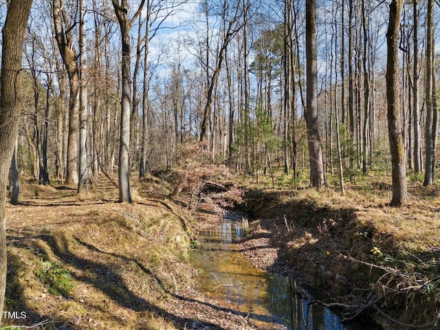 view of nature