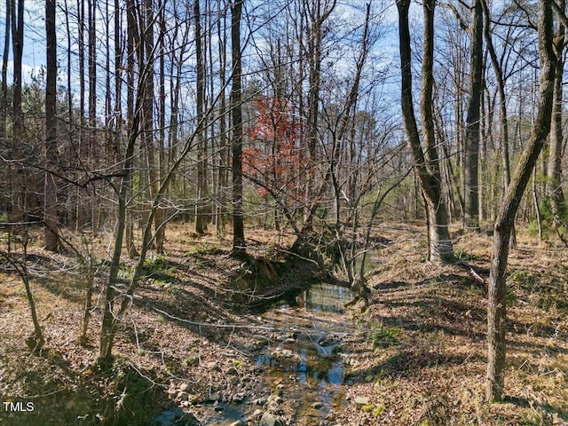 view of local wilderness