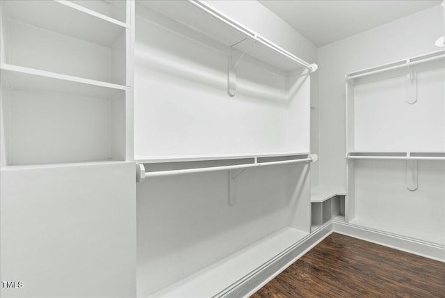 spacious closet with dark hardwood / wood-style flooring