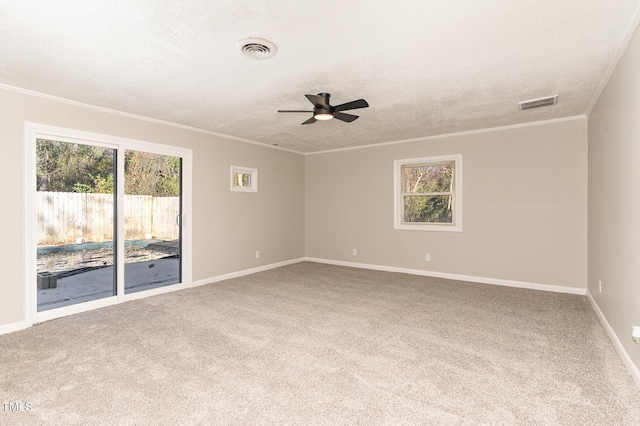 unfurnished room featuring a healthy amount of sunlight, carpet floors, and a textured ceiling