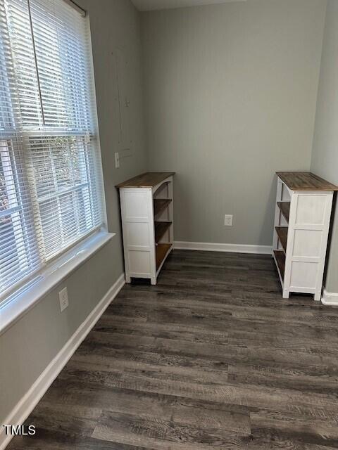 interior space featuring dark hardwood / wood-style flooring