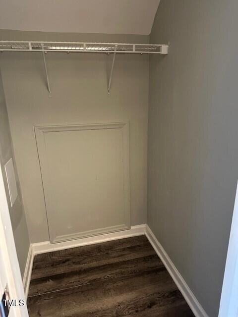 spacious closet with dark hardwood / wood-style flooring