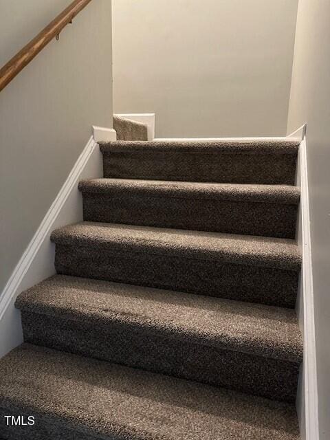 staircase featuring carpet